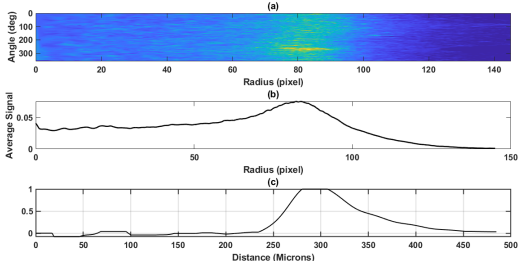 Polar unwrapping, average radial signal, and Abel-inverted emission profile