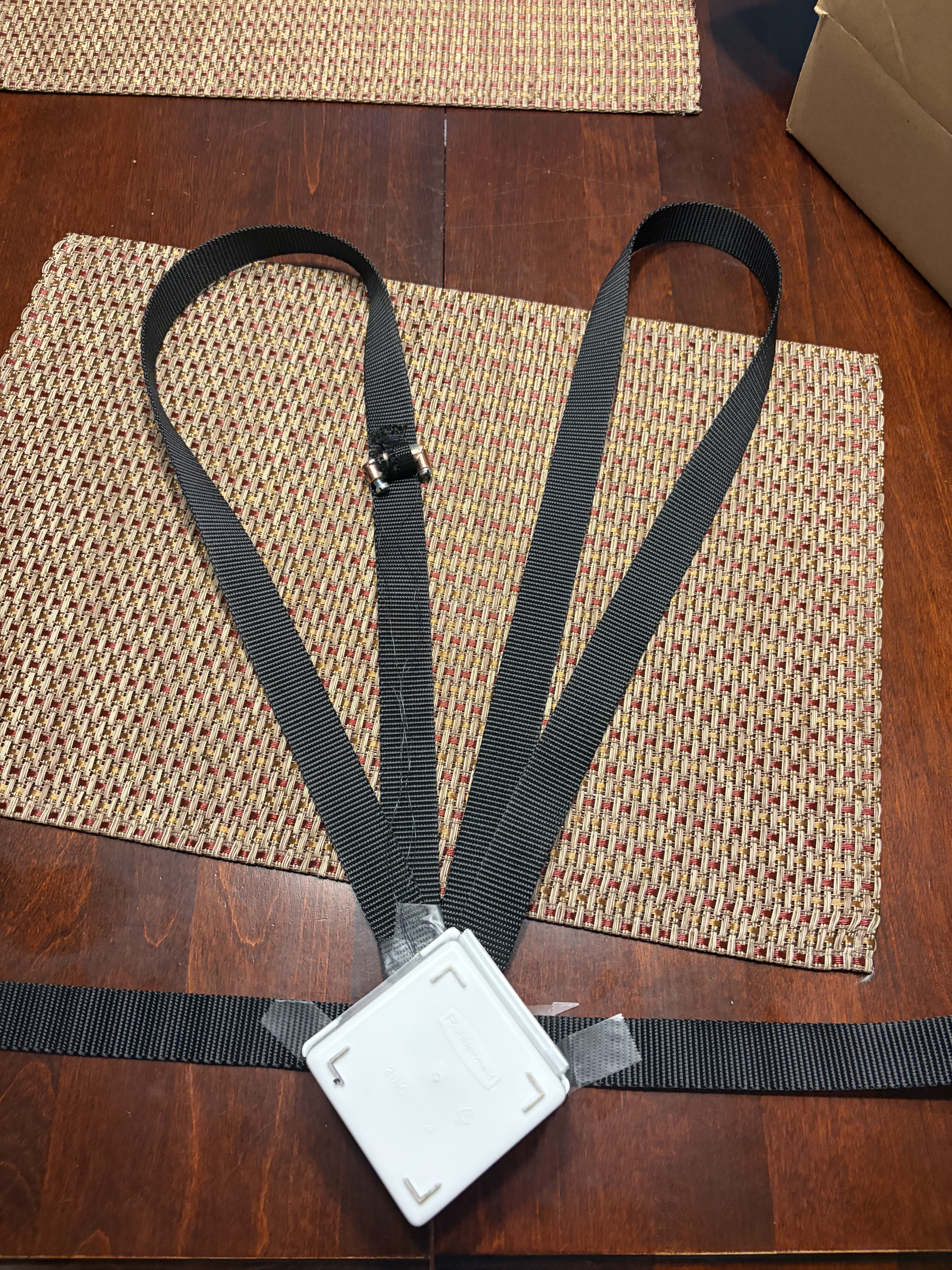 Posture Pro strap and enclosure concept laid flat